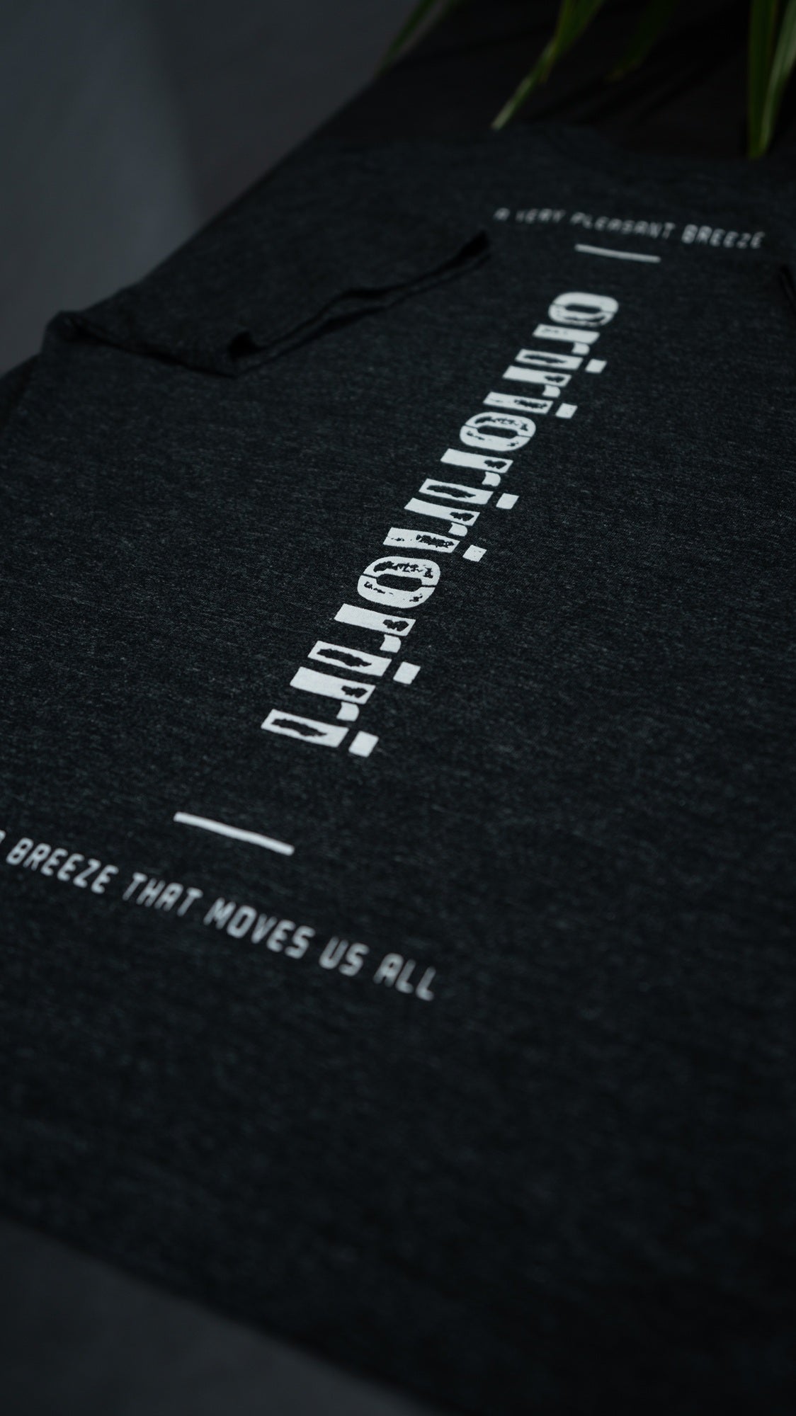 バックプリントTシャツ
